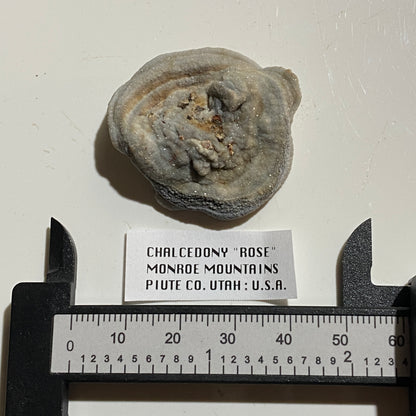 CHALCEDONY "ROSE" : MONROE MOUNTAINS, PIUTE COUNTY, UTAH, U.S.A.  11g. MF5344