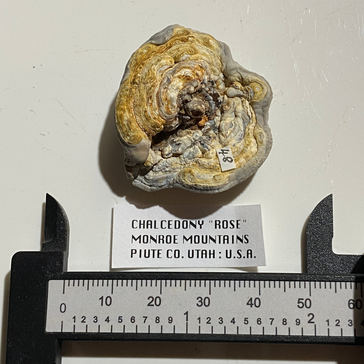 CHALCEDONY "ROSE" : MONROE MOUNTAINS, PIUTE COUNTY, UTAH, U.S.A.  11g. MF5344