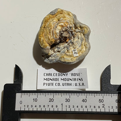 CHALCEDONY "ROSE" : MONROE MOUNTAINS, PIUTE COUNTY, UTAH, U.S.A.  11g. MF5344