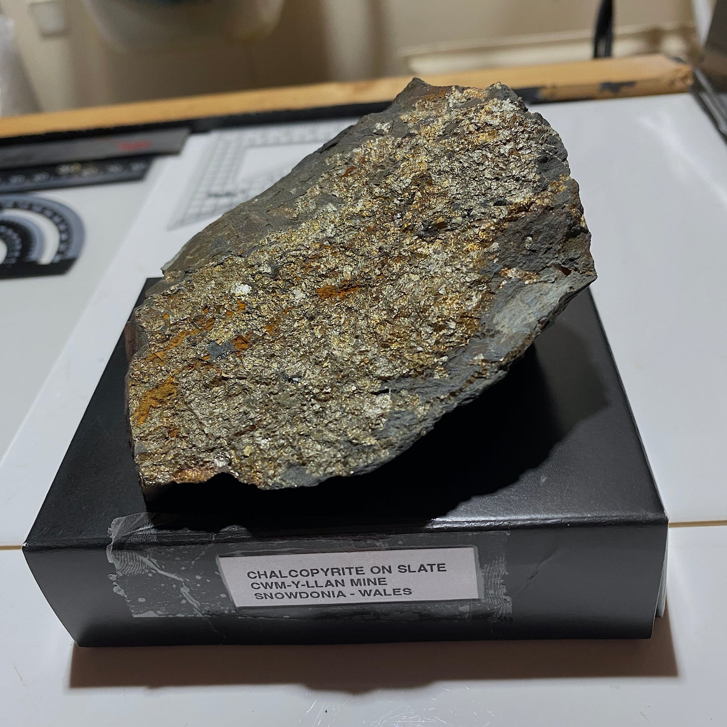 CHALCOPYRITE ON SLATE : CWM-Y-LLAN MINE, SNOWDONIA, WALES. 303g MF4664