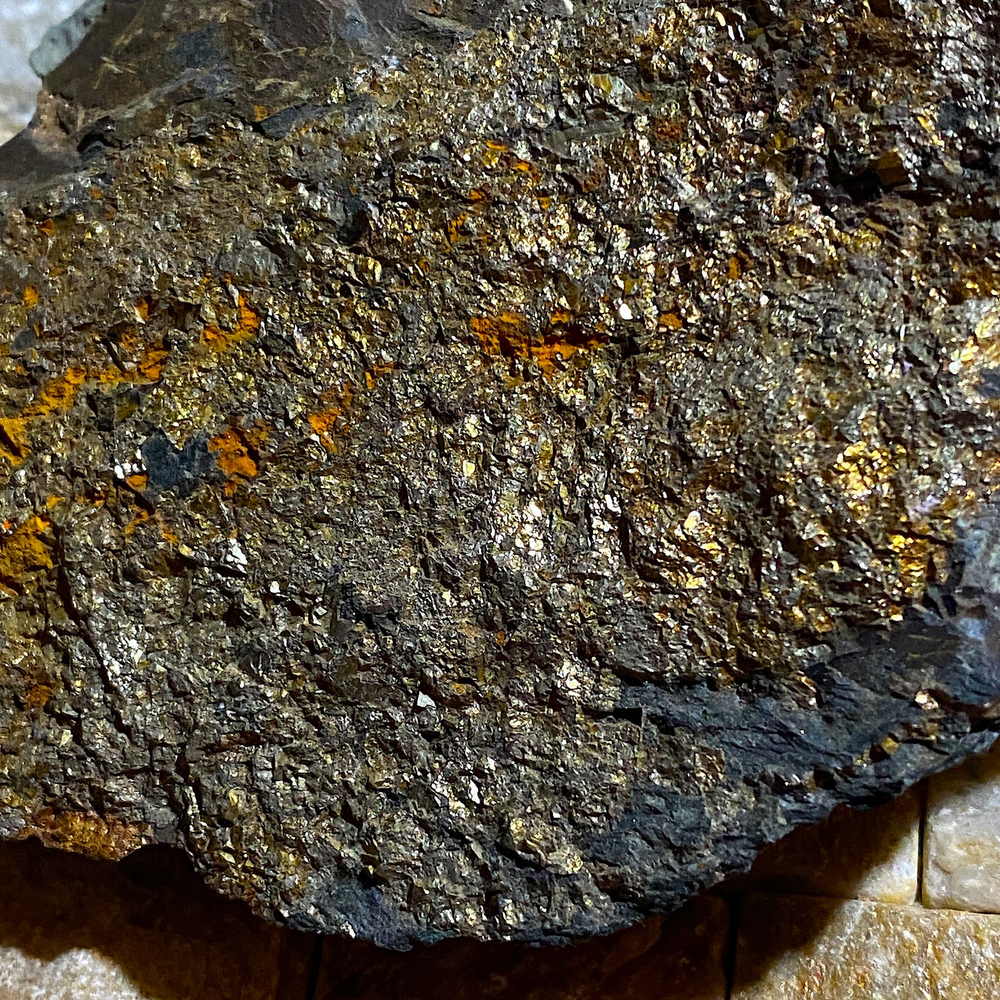 CHALCOPYRITE ON SLATE : CWM-Y-LLAN MINE, SNOWDONIA, WALES. 303g MF4664