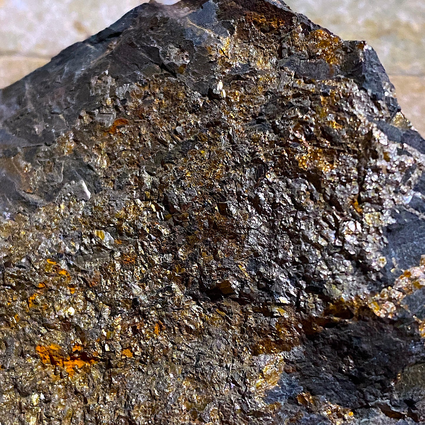 CHALCOPYRITE ON SLATE : CWM-Y-LLAN MINE, SNOWDONIA, WALES. 303g MF4664