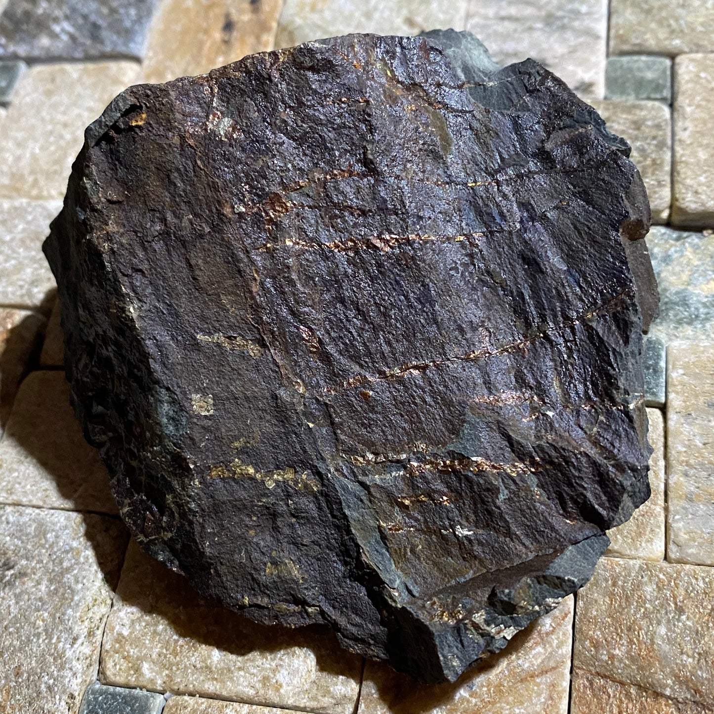 CHALCOPYRITE ON SLATE : CWM-Y-LLAN MINE, SNOWDONIA, WALES. 303g MF4664