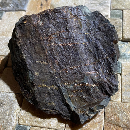 CHALCOPYRITE ON SLATE : CWM-Y-LLAN MINE, SNOWDONIA, WALES. 303g MF4664