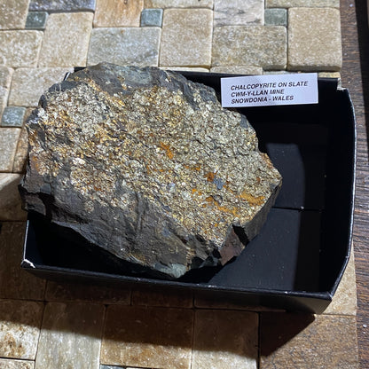 CHALCOPYRITE ON SLATE : CWM-Y-LLAN MINE, SNOWDONIA, WALES. 303g MF4664