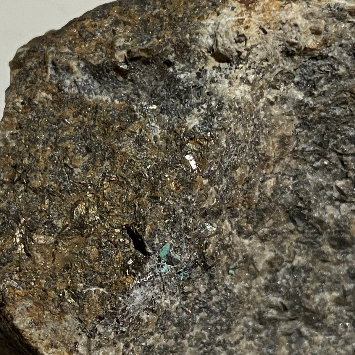 ARSENOPYRITE : POLDICE MINE, GWENNAP- CORNWALL  187g. MF5345