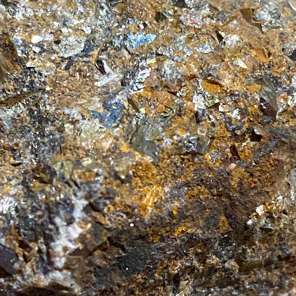 ARSENOPYRITE : POLDICE MINE, GWENNAP- CORNWALL  187g. MF5345
