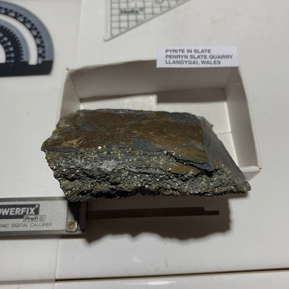 PYRITE IN SLATE : PENRHYN SLATE QUARRY, LLANDYGAI, WALES 120g MF4665
