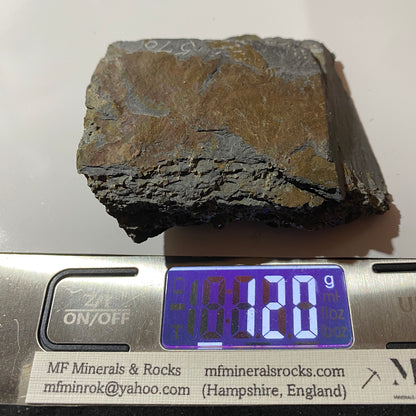 PYRITE IN SLATE : PENRHYN SLATE QUARRY, LLANDYGAI, WALES 120g MF4665