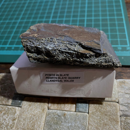 PYRITE IN SLATE : PENRHYN SLATE QUARRY, LLANDYGAI, WALES 120g MF4665