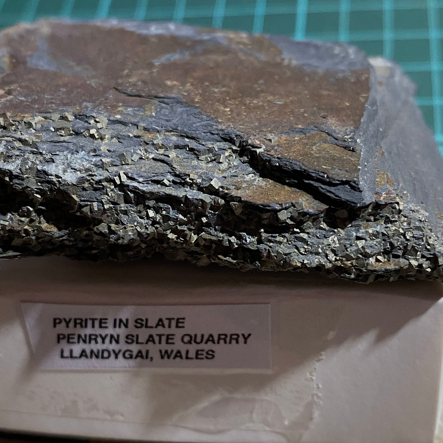 PYRITE IN SLATE : PENRHYN SLATE QUARRY, LLANDYGAI, WALES 120g MF4665
