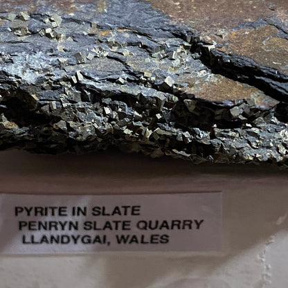 PYRITE IN SLATE : PENRHYN SLATE QUARRY, LLANDYGAI, WALES 120g MF4665