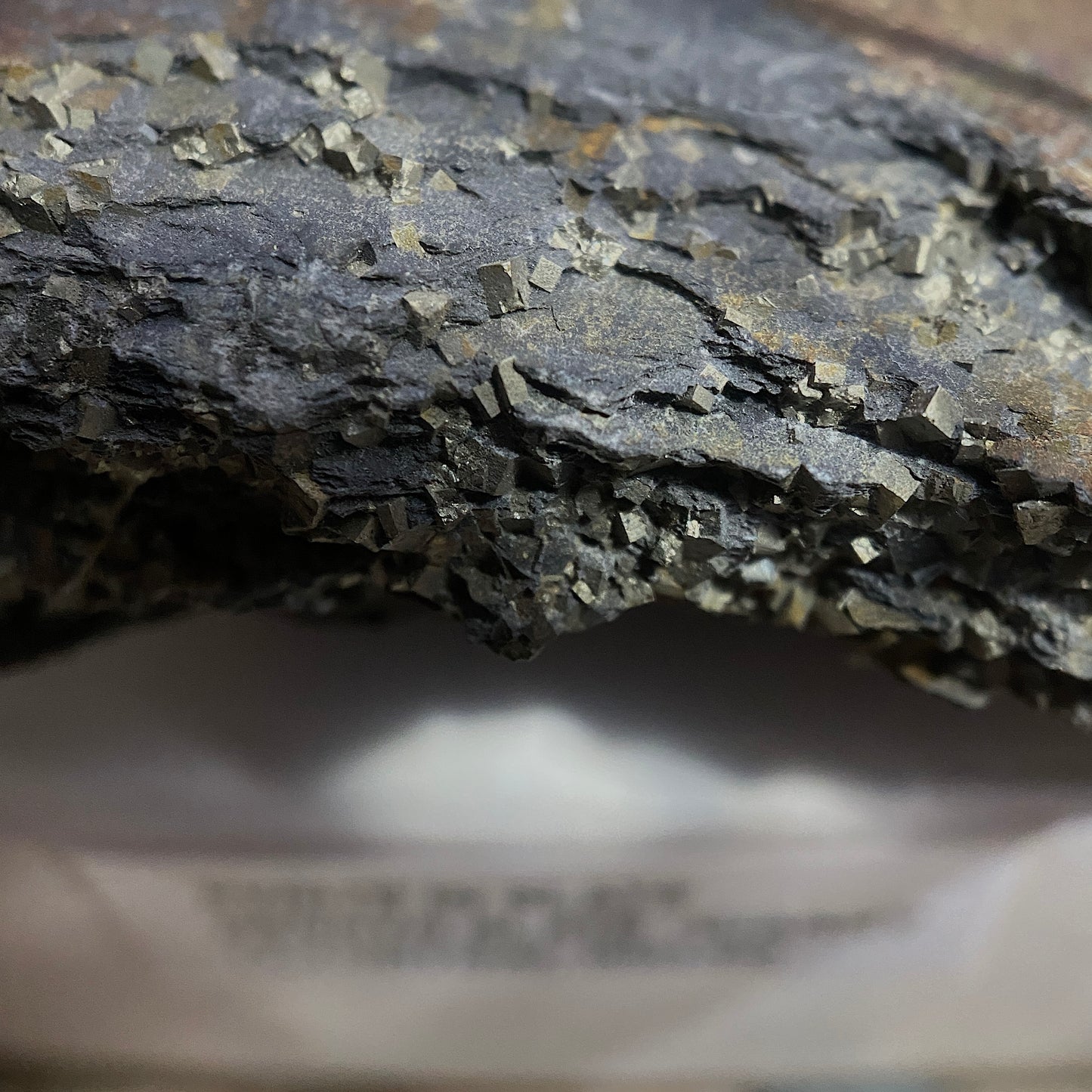 PYRITE IN SLATE : PENRHYN SLATE QUARRY, LLANDYGAI, WALES 120g MF4665