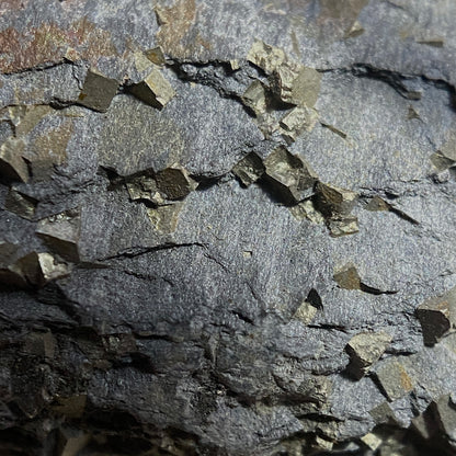 PYRITE IN SLATE : PENRHYN SLATE QUARRY, LLANDYGAI, WALES 120g MF4665