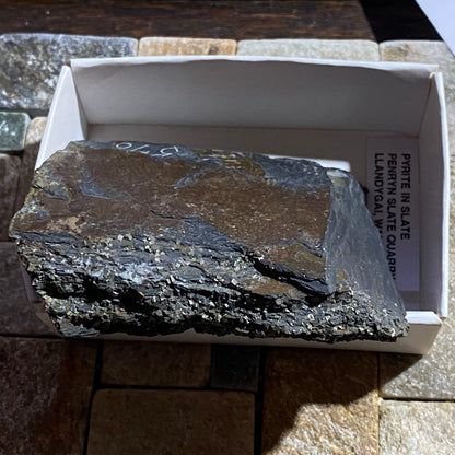 PYRITE IN SLATE : PENRHYN SLATE QUARRY, LLANDYGAI, WALES 120g MF4665