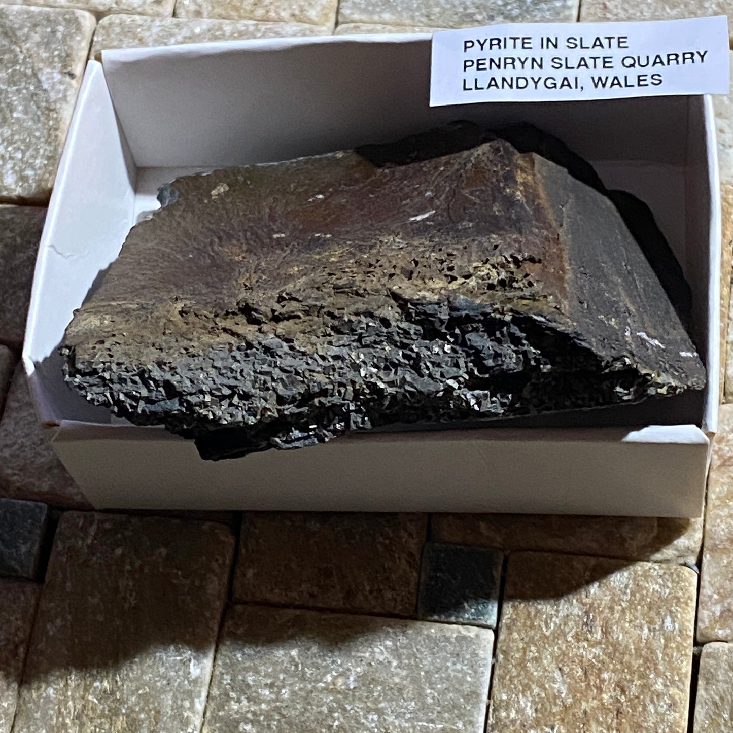 PYRITE IN SLATE : PENRHYN SLATE QUARRY, LLANDYGAI, WALES 120g MF4665