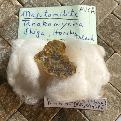 MASUTOMILITE [RARE] TANAKAMIYAMA PEGMATITES, JAPAN MF1450