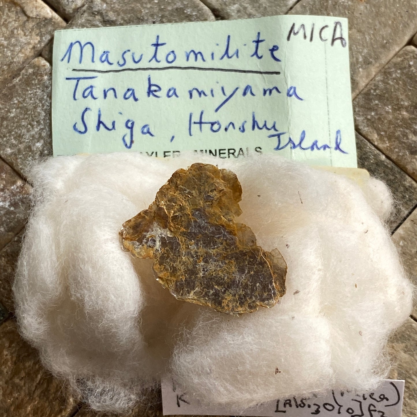 MASUTOMILITE [RARE] TANAKAMIYAMA PEGMATITES, JAPAN MF1450