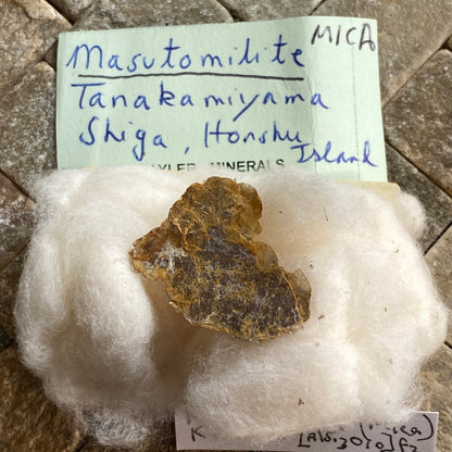 MASUTOMILITE [RARE] TANAKAMIYAMA PEGMATITES, JAPAN MF1450