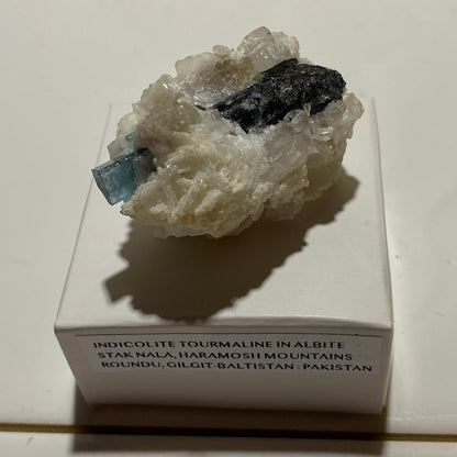 INDICOLITE TOURMALINE IN ALBITE : STAK NALA, HAROMOSH MTS, PAKISTAN 28g. MF5349