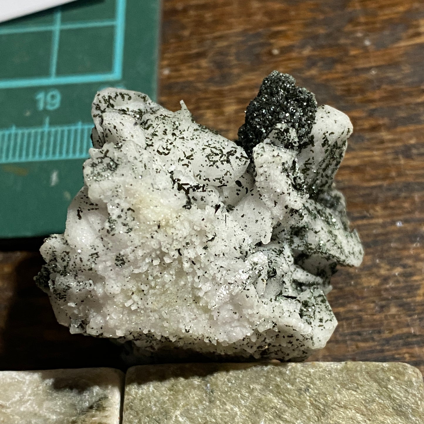 RUTILE/CHLORITE/ALBITE EXQUISITE SPECIMEN : SEEBACH VALLEY, AUSTRIA 30g MF4679