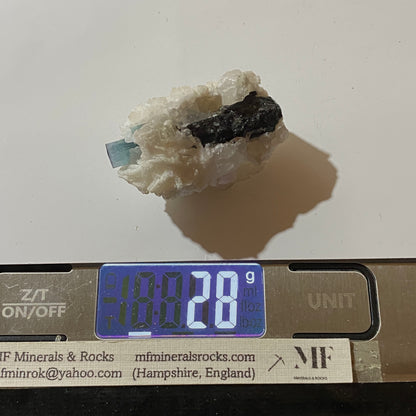 INDICOLITE TOURMALINE IN ALBITE : STAK NALA, HAROMOSH MTS, PAKISTAN 28g. MF5349