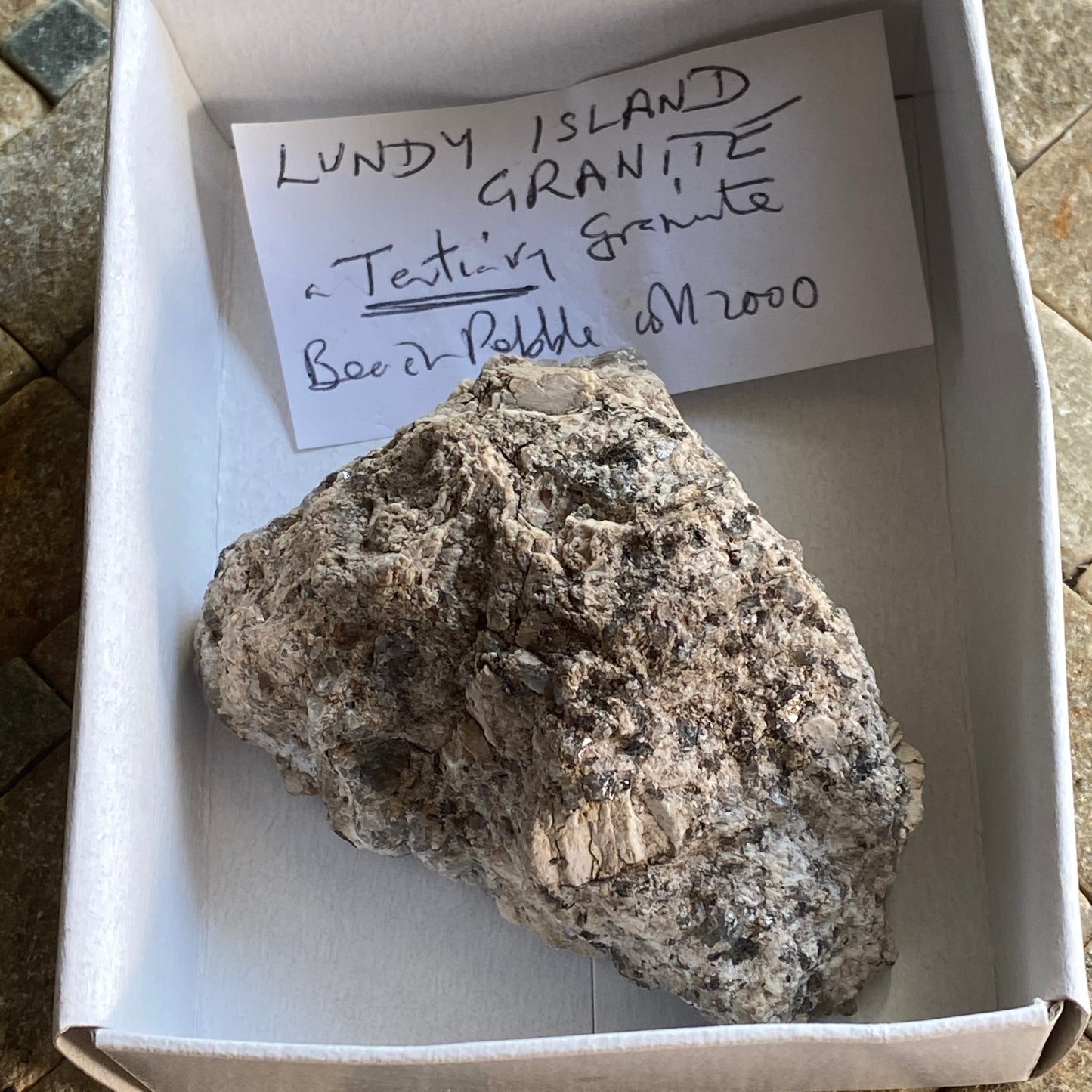 LUNDY ISLAND GRANITE BRITISH PALEOGENE VOLCANIC PROVINCE, 138g MF1451