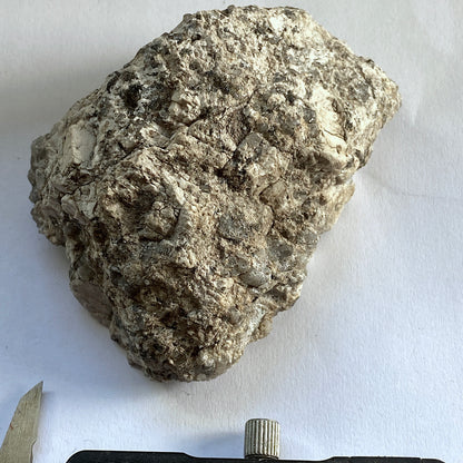 LUNDY ISLAND GRANITE BRITISH PALEOGENE VOLCANIC PROVINCE, 138g MF1451