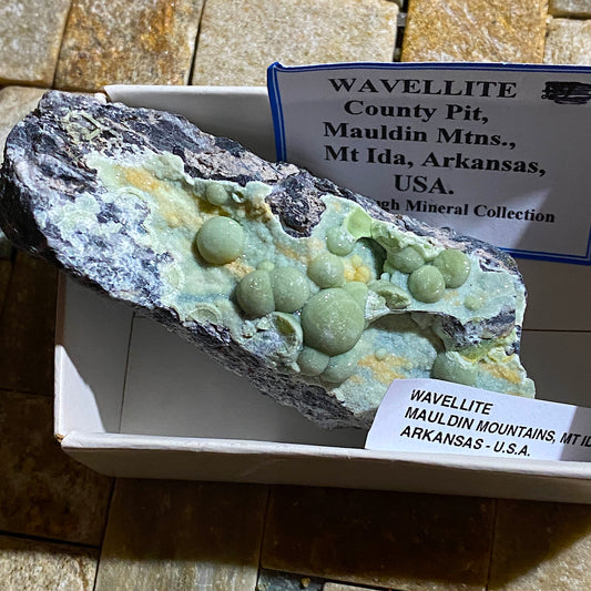 WAVELLLITE : COUNTY PIT, MAULDIN MOUNTAINS, ARKANSAS, U.S.A. 82g MF4685