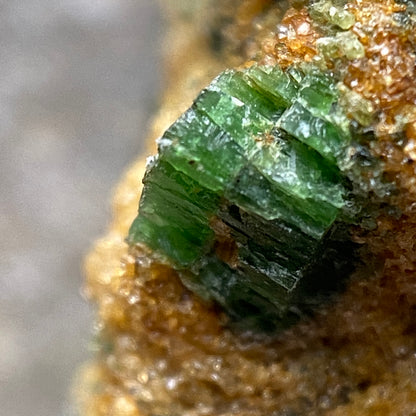 PYROPE/DIOPSIDE /ETC : NORDFJORD, VESTLAND, NORWAY. 20g MF5350