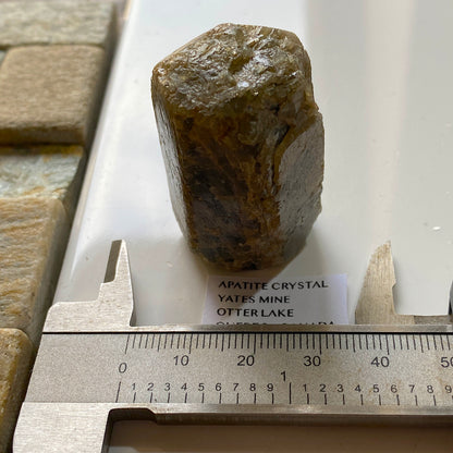 APATITE CRYSTAL : YATES MINE, OTTER LAKE, QUEBEC, CANADA 57g MF5351