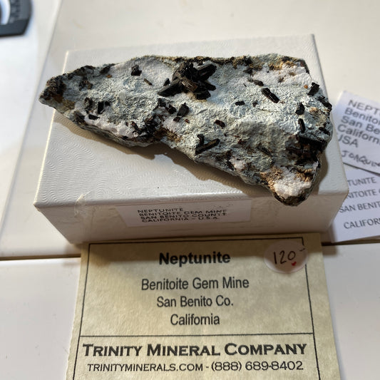 NEPTUNITE RARE SPECIMEN : BENITOITE GEM MINE, SAN BENITO COUNTY, CALIFORNIA, U.S.A. 26g MF4683