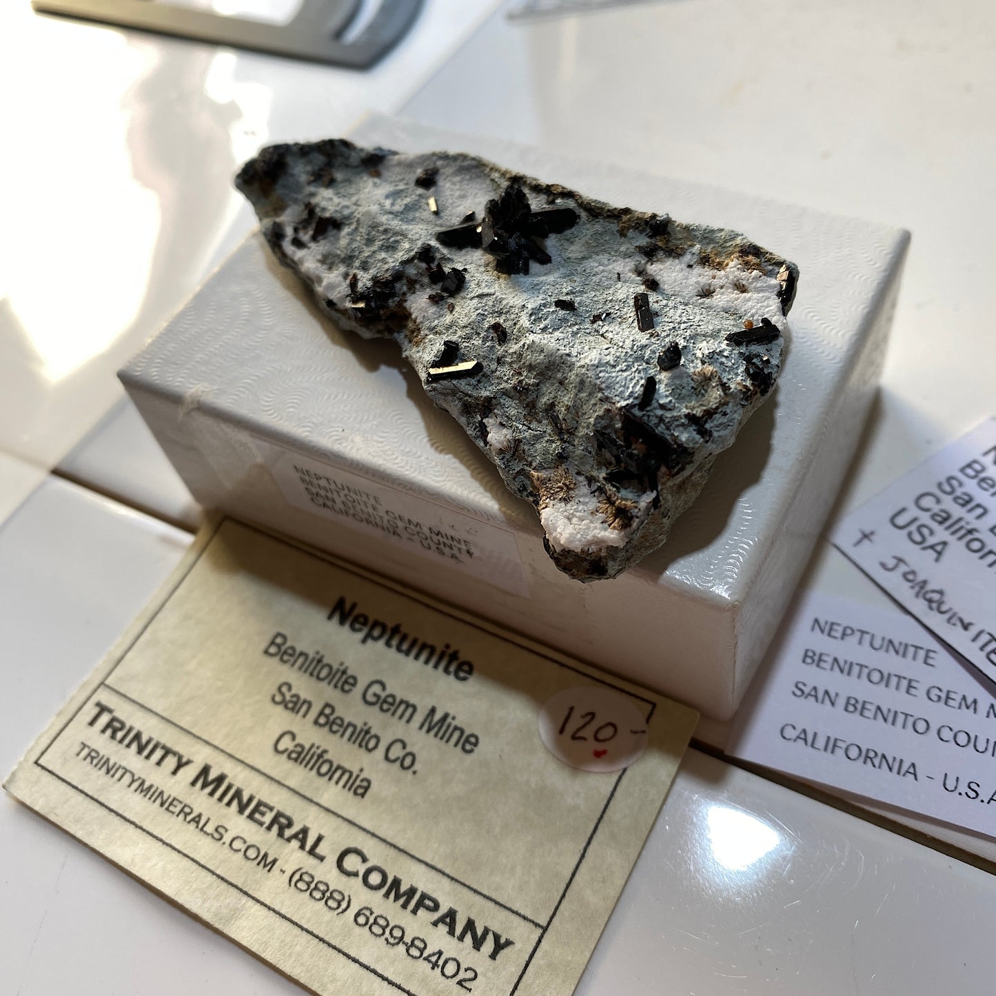 NEPTUNITE RARE SPECIMEN : BENITOITE GEM MINE, SAN BENITO COUNTY, CALIFORNIA, U.S.A. 26g MF4683