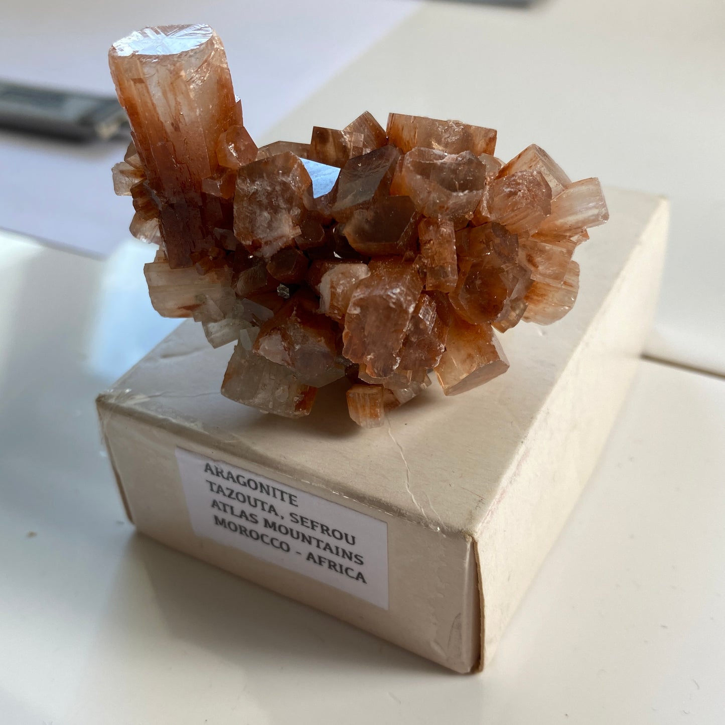 ARAGONITE - TAZOUTA, SEFROU, ATLAS MOUNTAINS, MOROCCO 67g MF3362