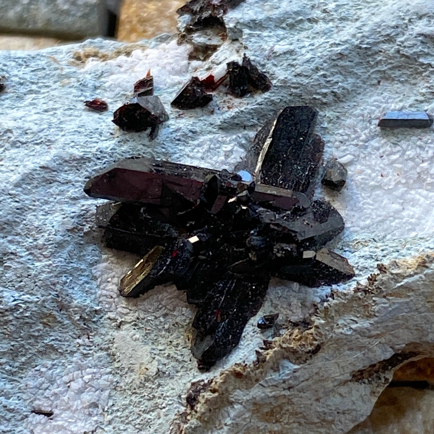 NEPTUNITE RARE SPECIMEN : BENITOITE GEM MINE, SAN BENITO COUNTY, CALIFORNIA, U.S.A. 26g MF4683