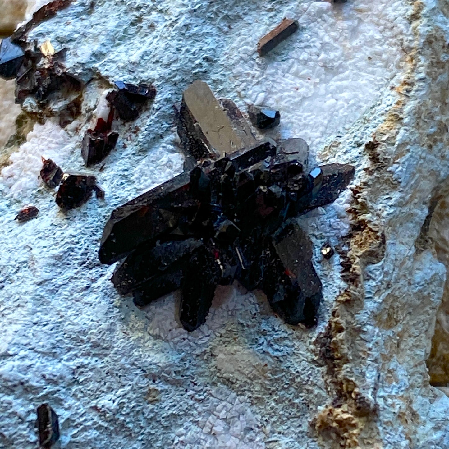 NEPTUNITE RARE SPECIMEN : BENITOITE GEM MINE, SAN BENITO COUNTY, CALIFORNIA, U.S.A. 26g MF4683