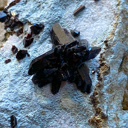 NEPTUNITE RARE SPECIMEN : BENITOITE GEM MINE, SAN BENITO COUNTY, CALIFORNIA, U.S.A. 26g MF4683
