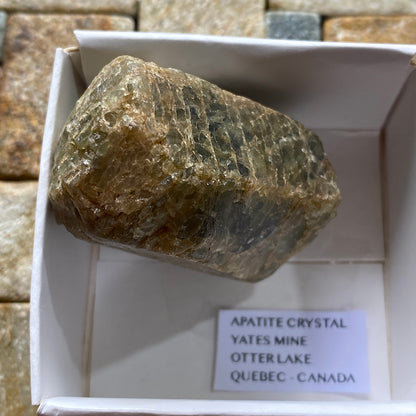 APATITE CRYSTAL : YATES MINE, OTTER LAKE, QUEBEC, CANADA 57g MF5351