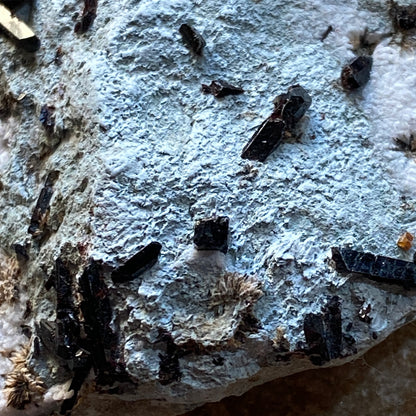 NEPTUNITE RARE SPECIMEN : BENITOITE GEM MINE, SAN BENITO COUNTY, CALIFORNIA, U.S.A. 26g MF4683