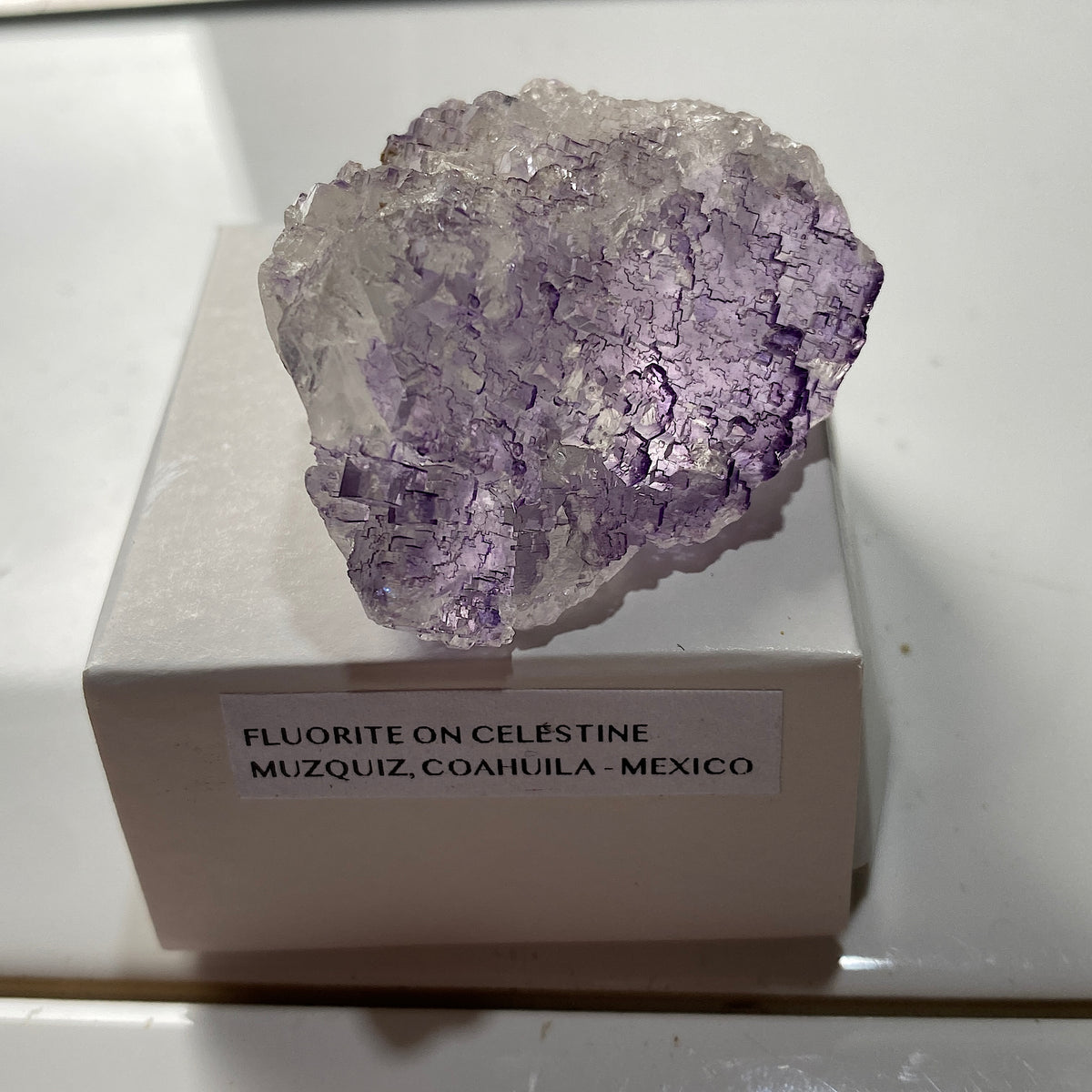 FLUORITE ON CELESTITE : TULE MINE, MUZQUIZ, COAHUILA, MEXICO. 50g MF5352