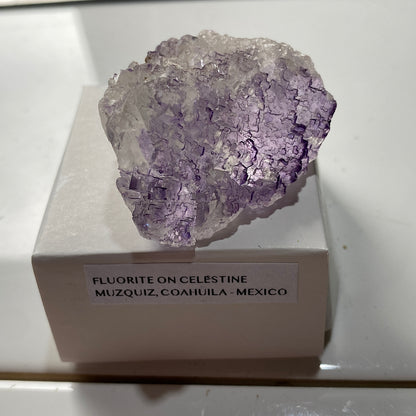 FLUORITE ON CELESTITE : TULE MINE, MUZQUIZ, COAHUILA, MEXICO. 50g MF5352