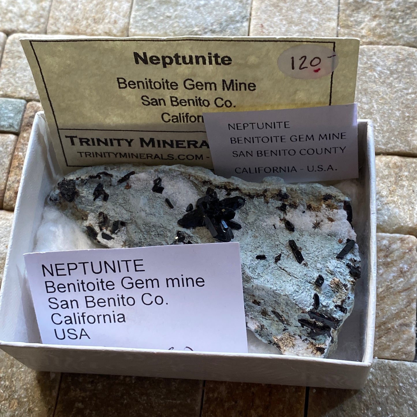 NEPTUNITE RARE SPECIMEN : BENITOITE GEM MINE, SAN BENITO COUNTY, CALIFORNIA, U.S.A. 26g MF4683