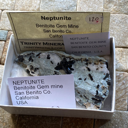 NEPTUNITE RARE SPECIMEN : BENITOITE GEM MINE, SAN BENITO COUNTY, CALIFORNIA, U.S.A. 26g MF4683