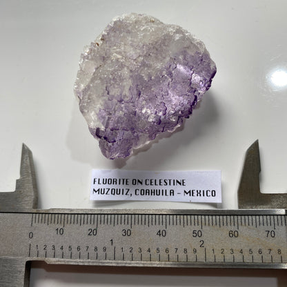 FLUORITE ON CELESTITE : TULE MINE, MUZQUIZ, COAHUILA, MEXICO. 50g MF5352