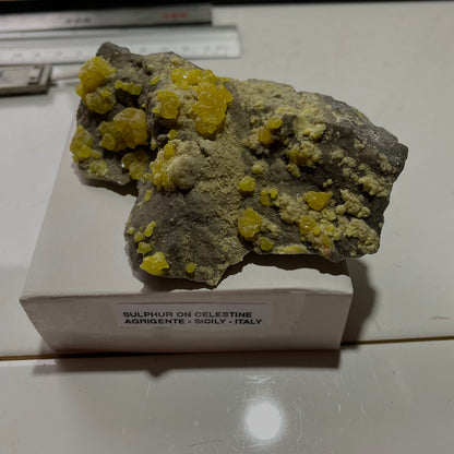 CRISTALIZACIÓN DE AZUFRE EN CELESTINA DE SICILIA 117g MF619