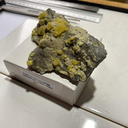 CRISTALIZACIÓN DE AZUFRE EN CELESTINA DE SICILIA 117g MF619