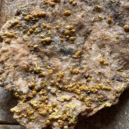 CAMPYLITE [MIMETITE] - DRY GILL MINE, CALDBECK, CUMBRIA 19g MF647