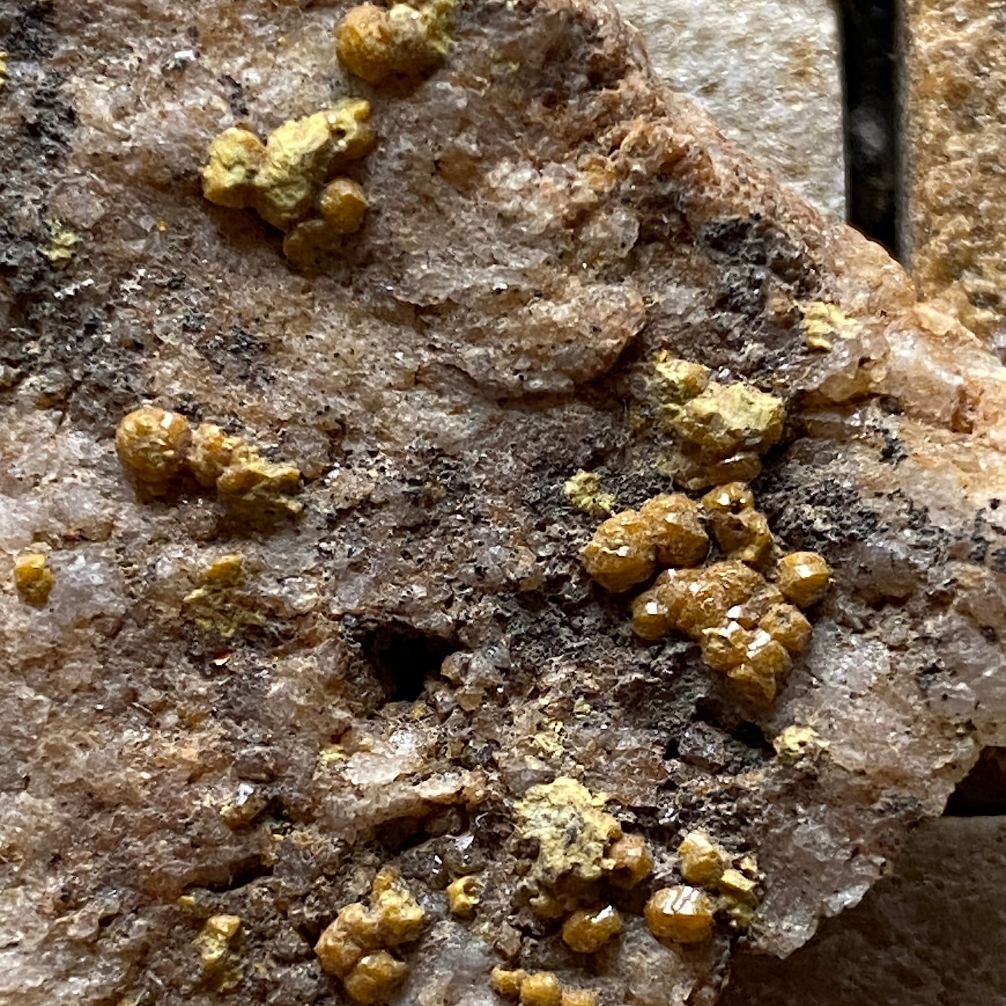 CAMPYLITE [MIMETITE] - DRY GILL MINE, CALDBECK, CUMBRIA 19g MF647