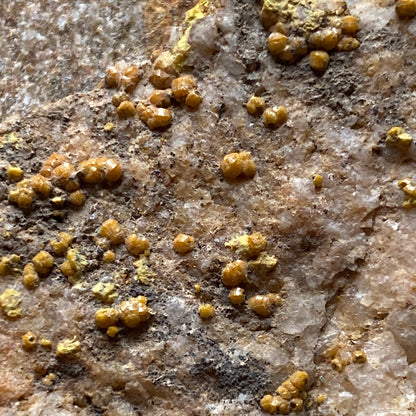 CAMPYLITE [MIMETITE] - DRY GILL MINE, CALDBECK, CUMBRIA 19g MF647