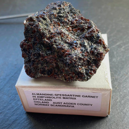 GARNET AMPHIBOLITE FROM EPTELAND, NORWAY 76g MF1456